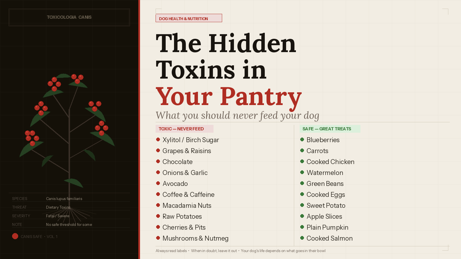 The Hidden Toxins in Your Pantry: What You Should Never Feed Your Dog
