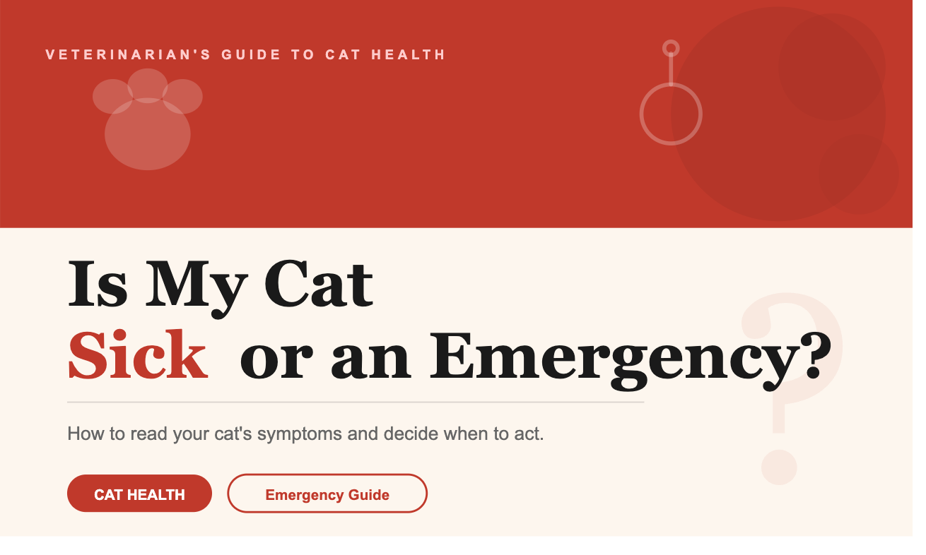 Why Cats Are Uniquely Difficult to Read